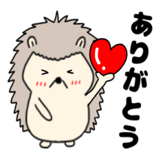 Hedgehog ha-cyan