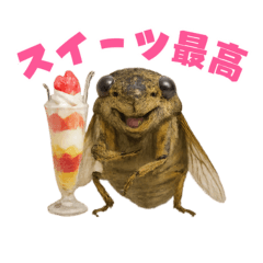 Cicada stamp. It's a cicada.