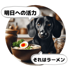 noy_20250507130531