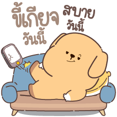 .. Doggi's daily tiring life ..
