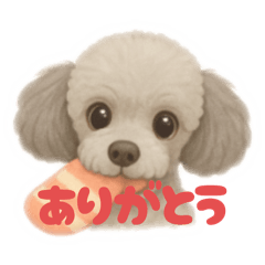 がんばるあなたへ、アルくんから