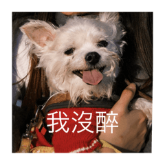 郭弟弟/客串的詹弟弟
