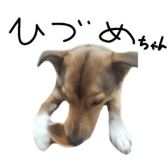 minako_20250506170236
