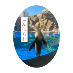 Ako_20250504153036