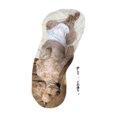 T_20250506170018