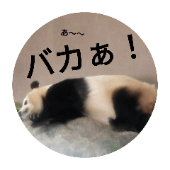 Haru_20250506165241