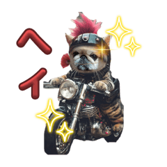 Kinki_20250506182535