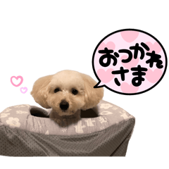 rei_20250506181802