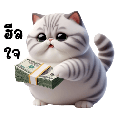 Gray cat, fat cat