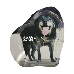 nao_20250506155729