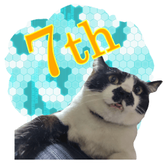 Kisarazu Cat CHOBISUKE _07