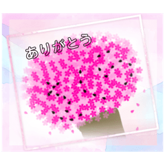 RENA_20250506190745
