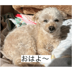 momo_20250506224252