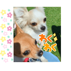 ABC_20250506194451
