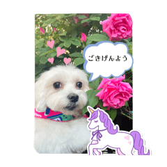 mana_20250506224825