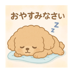 Sho_20250507000230