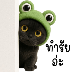 Black Cat Frog Hat Tuatung