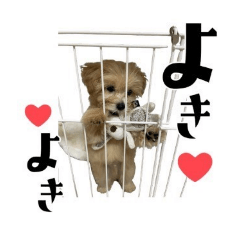 Chou chou_20250507125033