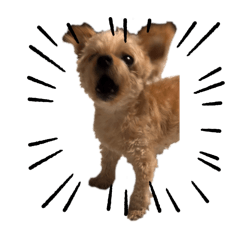 so_20250507131024