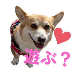 hinata_20250506203525