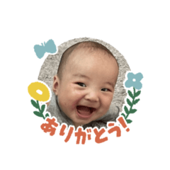 haruta haruta1