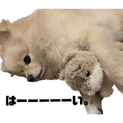 rimiko_20250507144129