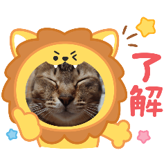 yuki_20250507161503