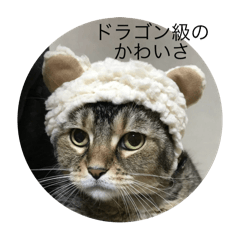uni uni_20250507163230