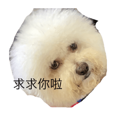 麻吉日常貼圖4