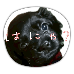 sakustamp_0507