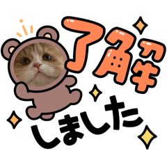 だんちゃんだぜ