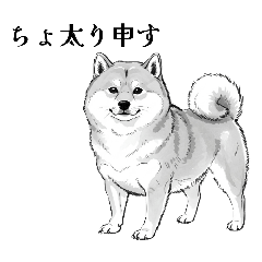 古風な柴犬スタンプ