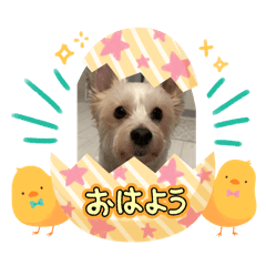ss_20250507193222