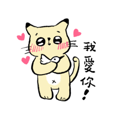 Kang Kang Cat