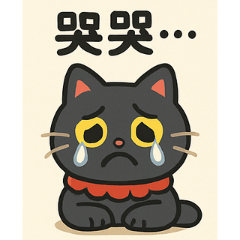 豬肉丸波魯
