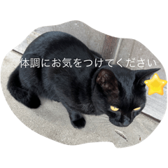 abc_20250507201743