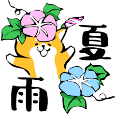 ふでしば34【雨、夏】柴犬