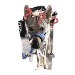 z7u6s5_20250507210547