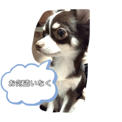 姉ちゃんとボク