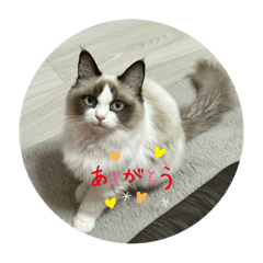 人間によるEllyの人間のためのスタンプ