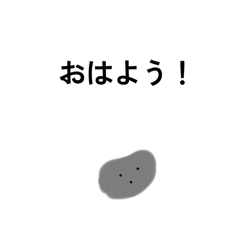 honey_20250507190717