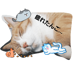 CHIKA_20250507190748