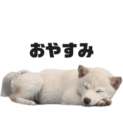 komugi_20250507214657