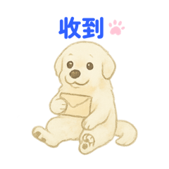 大白熊犬的瘋言瘋語