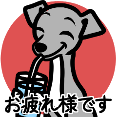 【ブルー4】1年中使える♡パピーイタグレ