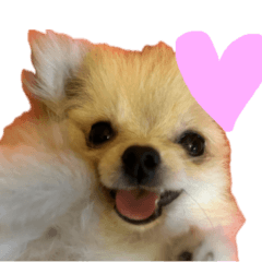 あたち、けむぴー♡