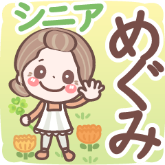 Pretty senior stickers Ver.6-1 Megumi