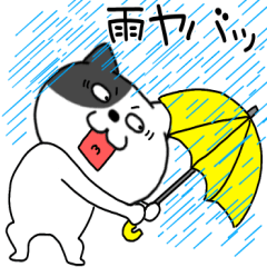 cat warunyan7