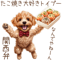 Takoyaki Lover Toy Poodle's Kansai Talk!