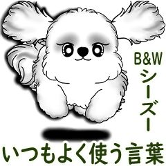 B&W New Shih tzu 2025 (usual words)